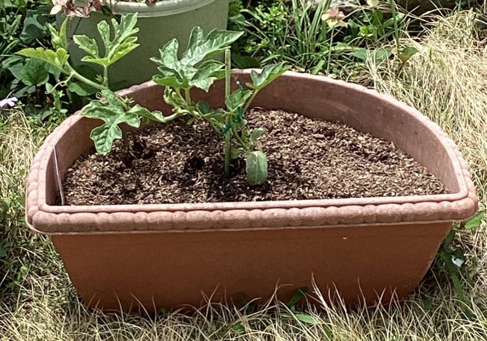 U0300869_03_0000003161