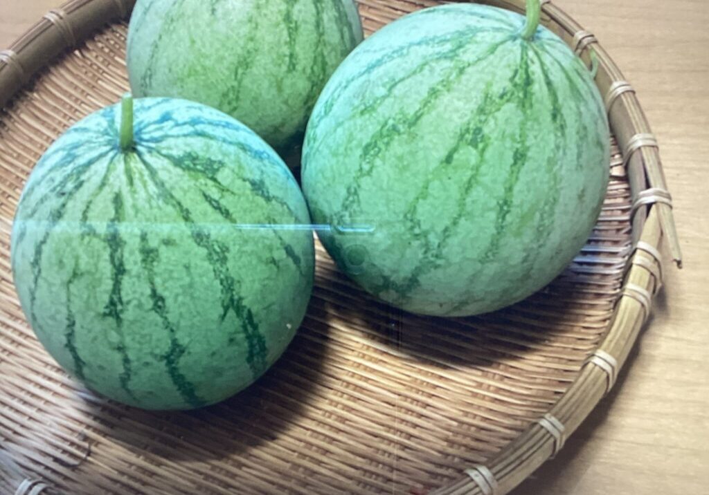 U0300869_03_0000003167